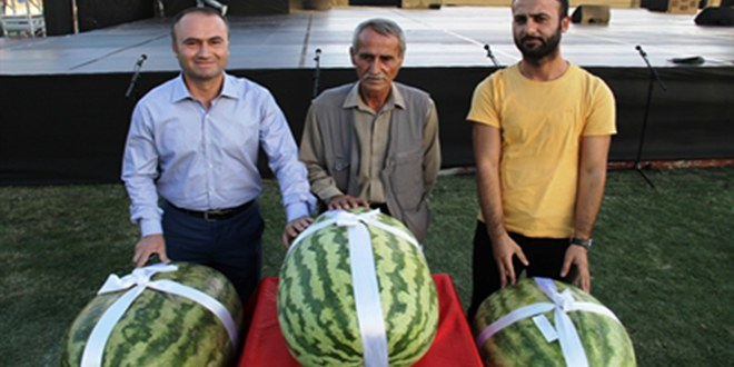 62 Kiloluk Karpuzu Büyütmek İçin Başında Günlerce Nöbet Tuttuk