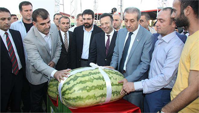 Diyarbakır da Kültür ve Karpuz Festivali