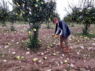 Geyve de 2 Bin 500 Dönüm Ekili Alan Zarar Gördü