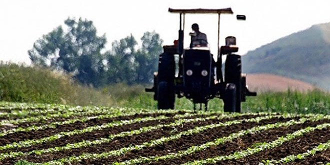 Türkiye 197 ülkeye tarım ürünü ihraç ediyor