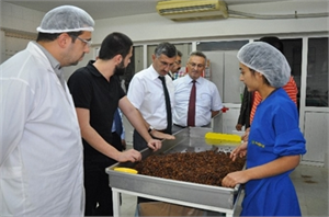 Manisa Valisi Bektaş Salihli de Tarım İşletmelerini Gezdi