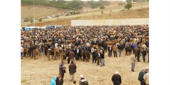 Gıda Tarım ve Hayvancılık Bakanlığı dan Kurbanlık Satacak ve Alacak Vatandaşlara Uyarı