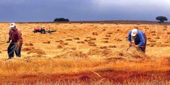 ÇKS Kaydında Son Gün 1 Ekim Çarşamba