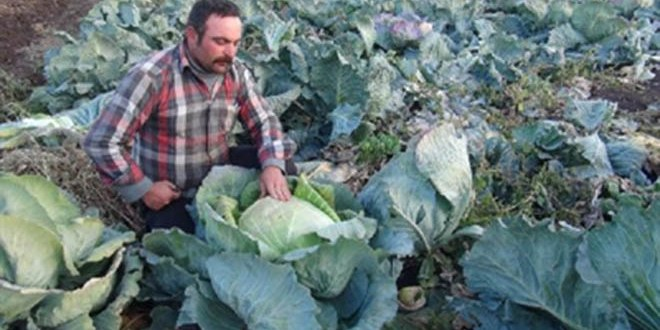 Organik Sebze Yetiştiren Mevsimlik Çiftçilere Konteyner Ev