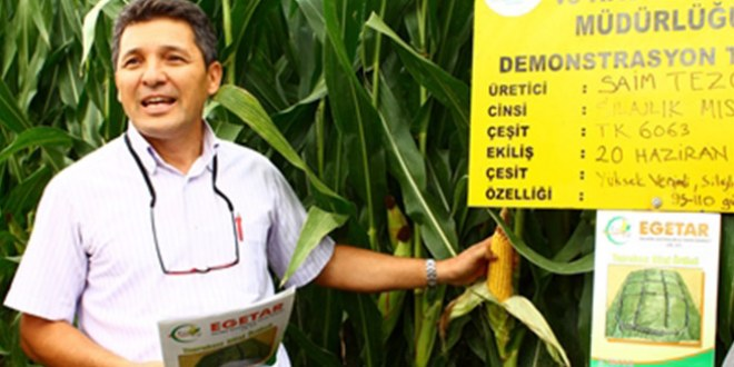 Muğla da Alternatif Uygulama Silajda Kaliteyi Arttırdı