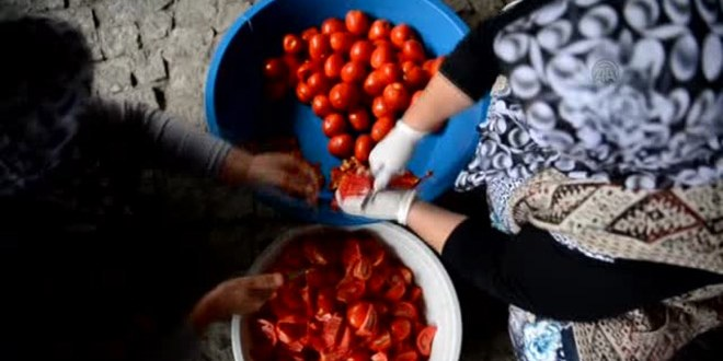 Salça Makinesi Kadınların Ekmek Teknesi Oldu
