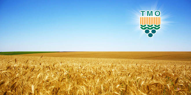 TMO Malatya ya Getirilen Arpayı Yetiştiriciye Vermiyor İddiası