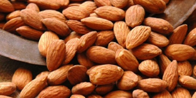 Adıyaman Adından Bademle Söz Ettirmek İstiyor