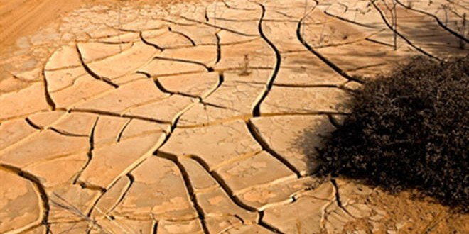 Afrika İklim Değişikliğine Direniyor