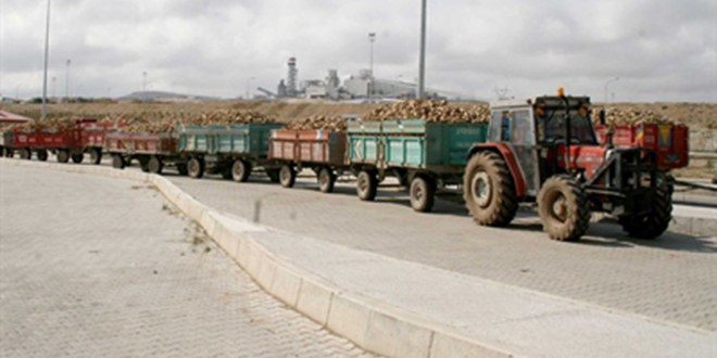 Boğazlıyan Şeker Fabrikasında Üretim Başladı