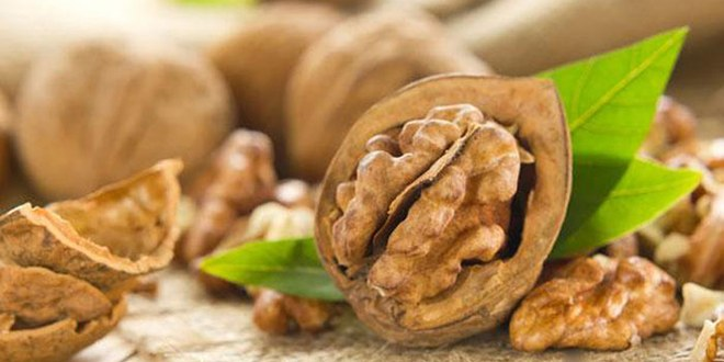 Manisa da Ceviz Hasadı Başladı