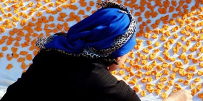 Trakya da Kış Hazırlıkları