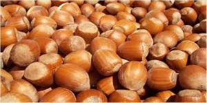 TZOB Başkanı Bayraktar Fındık Fiyatları ve Et İthalatı Konusunda Açıklamalarda Bulundu