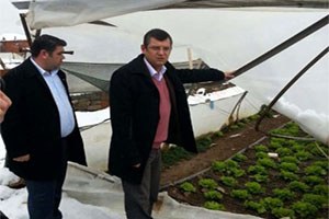 Kar Marul Seralarını Vurdu