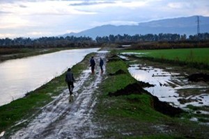 Söke Ovası nda Ekili Arazileri Su Bastı