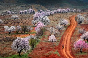 Tarım ekonomiyi 2015 te de don duracak mı