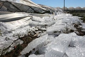 Antalya da Buza Dayanmayan Seralar Çöktü Meyve Sebze Dondu