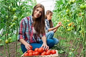 Tarım ve Hayvancılıkta Kadın Girişimcilere Destek