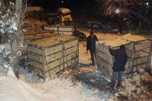 Kar 12 bin 500 Tavuğa Mezar Oldu