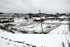 Seralarda Kar Nedeniyle Yaşanan Zararlar Tespit Ediliyor