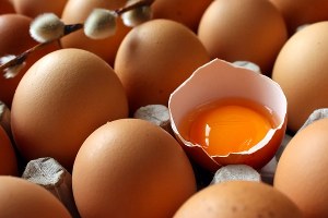 Yumurta ihracatının yüzde 81 i Irak a