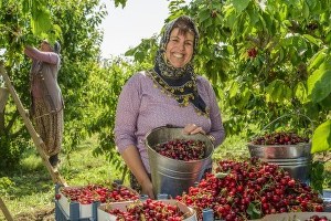 İşte İzmir Farkı