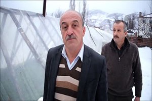 Yoğun Kar Yağışı İnebolu da Seraları Yıktı