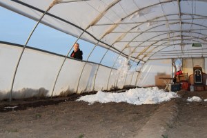 SeralaraKarlı Sulama