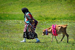 Tarım Ürünleri Üretici Fiyat Endeksi Aralıkta Azaldı
