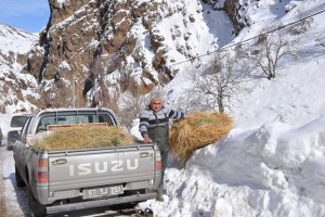 Zorda Kalan Yaban Hayvanları İçin Doğaya Yem Bırakıldı