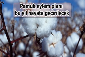 Pamuk eylem planı bu yıl hayata geçirilecek