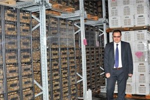 Yalova 20 Bin Ton Kivi Rekoltesi Hedefliyor