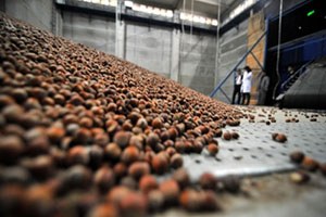 Lisanslı Depoculuğa Kira Desteği