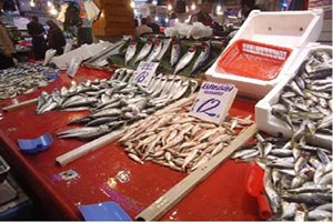 Bakanlıktan Balık Varlığını Artıracak Yatırım