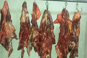 Bursa da At Eti Operasyonu