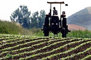 Bakanlıktan yeni yıl müjdesi