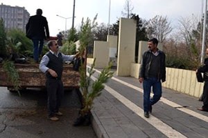 Gel Vatandaş Gel Bu Fidanlar Bedava