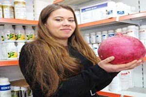 Sarıgöl de Devasa Turp İlgi Odağı Oldu