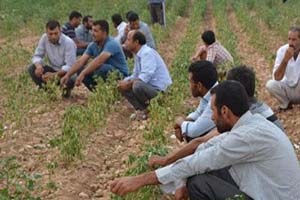 Arada Ezilen Gariban Çiftçi Olacak