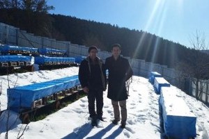 Küre Arısı İçin Büyük Atılım