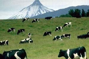 Kırıkkaleli Çiftçiler Bilgilendirildi