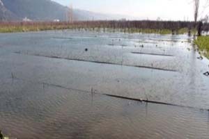 Göle Dönen Gürsu Ovası Mecliste Gündeme Geliyor