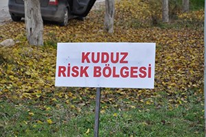 Çanakkale de bir köy kuduz karantinasına alındı