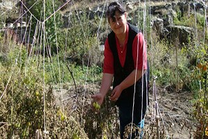 Ermenistan tarımına 25 milyon Avro luk destek Paylaş