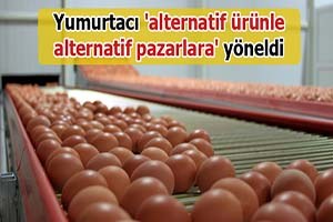 Yumurtacı alternatif ürünle alternatif pazarlara yöneldi