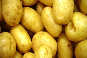 Kıbrıs lı Patates üreticisine ek süre