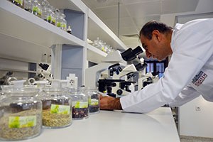 500 Bitki Sanayiye Kazandırılacak