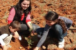 Manavgat a Bu Yıl 150 Bin Fidan Dikilecek