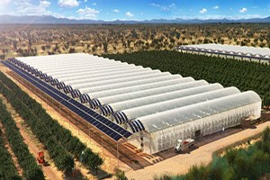 Seracılığın Püf Noktaları nı Öğrendiler