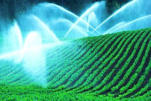 Muş ta ÇKS Başvuruları Uzatıldı